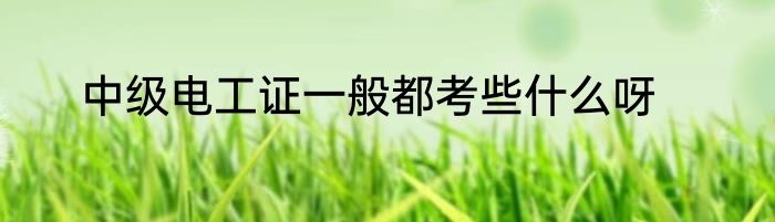 中级电工证一般都考些什么呀