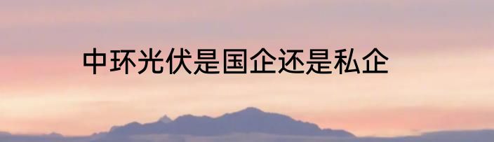 中环光伏是国企还是私企