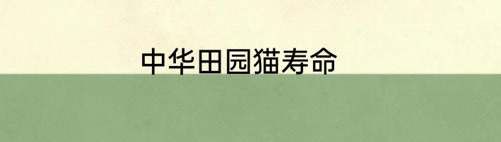 中华田园猫寿命