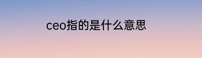 ceo指的是什么意思