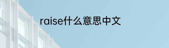raise什么意思中文