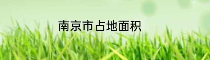 南京市占地面积