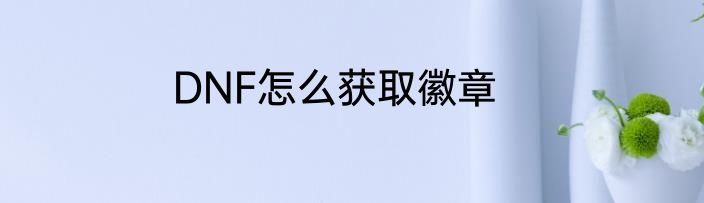 DNF怎么获取徽章