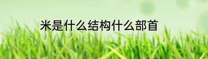 米是什么结构什么部首