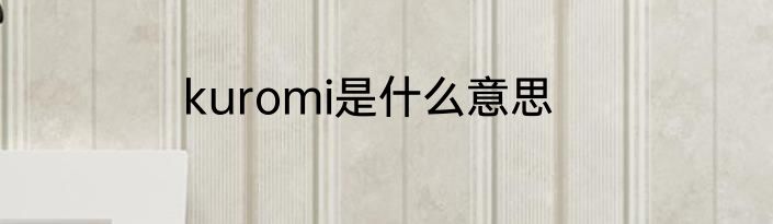 kuromi是什么意思