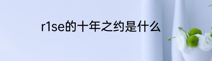 r1se的十年之约是什么