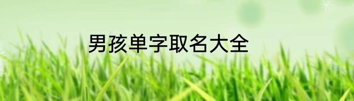 男孩单字取名大全