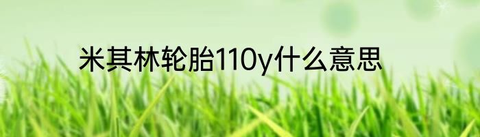 米其林轮胎110y什么意思