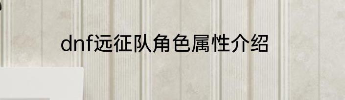 dnf远征队角色属性介绍