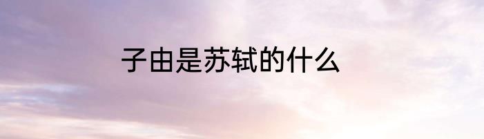 子由是苏轼的什么