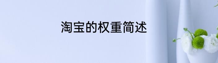 淘宝的权重简述