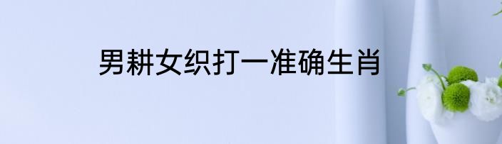 男耕女织打一准确生肖