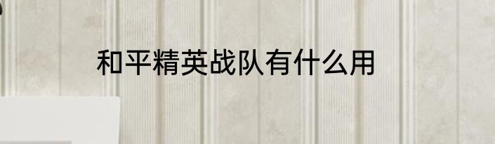 和平精英战队有什么用