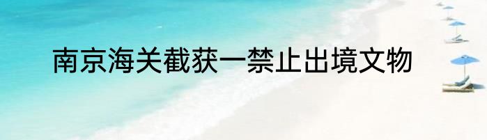 南京海关截获一禁止出境文物