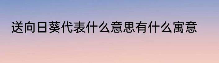 送向日葵代表什么意思有什么寓意