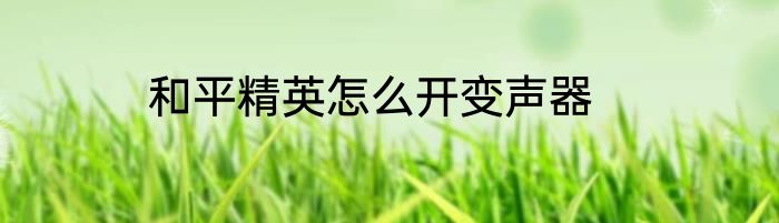 和平精英怎么开变声器