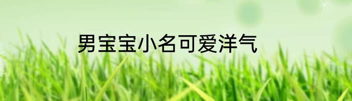 男宝宝小名可爱洋气