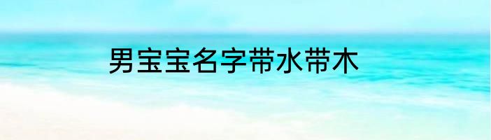 男宝宝名字带水带木