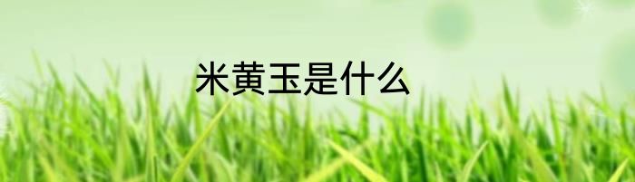 米黄玉是什么