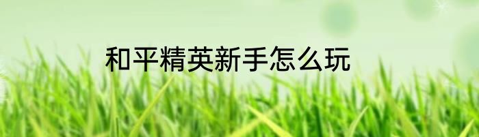 和平精英新手怎么玩