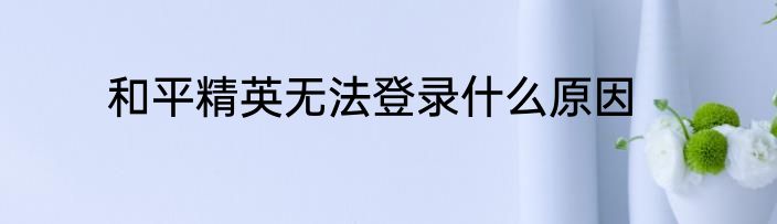 和平精英无法登录什么原因