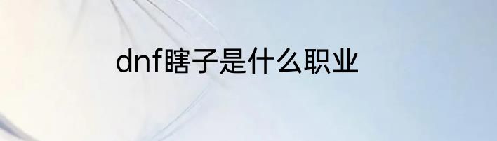 dnf瞎子是什么职业