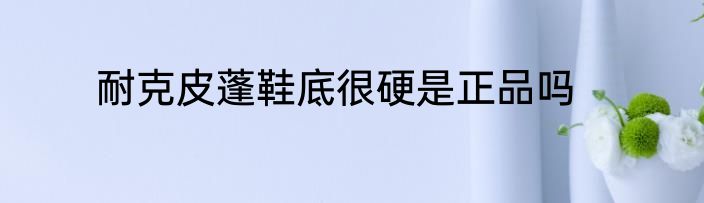 耐克皮蓬鞋底很硬是正品吗