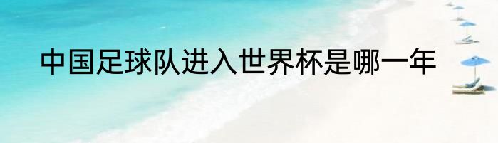 中国足球队进入世界杯是哪一年