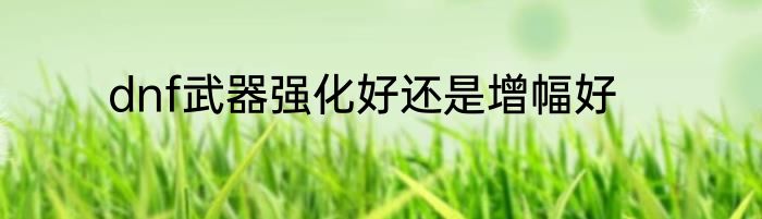dnf武器强化好还是增幅好