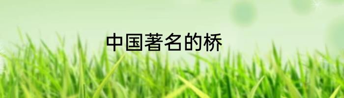 中国著名的桥
