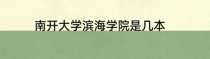 南开大学滨海学院是几本