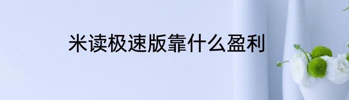 米读极速版靠什么盈利