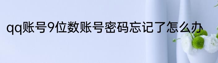 qq账号9位数账号密码忘记了怎么办