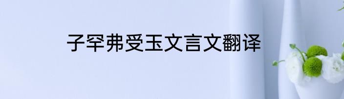 子罕弗受玉文言文翻译