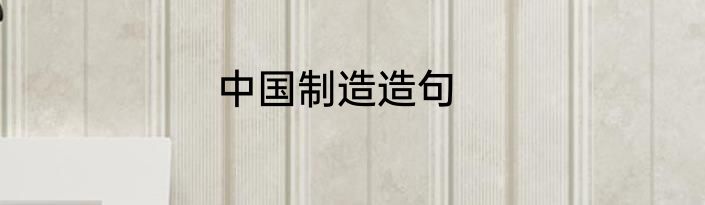 中国制造造句