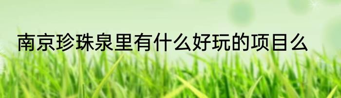 南京珍珠泉里有什么好玩的项目么
