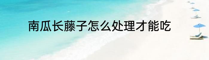 南瓜长藤子怎么处理才能吃