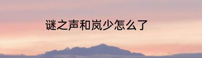 谜之声和岚少怎么了