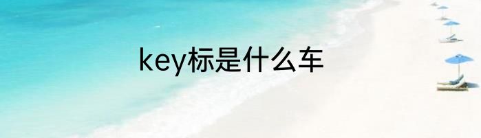 key标是什么车