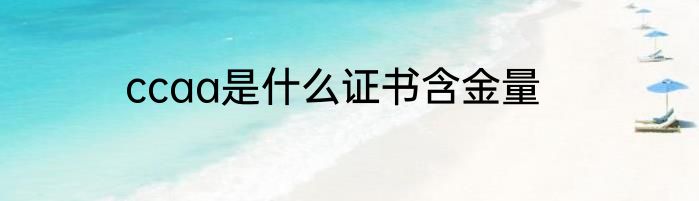 ccaa是什么证书含金量