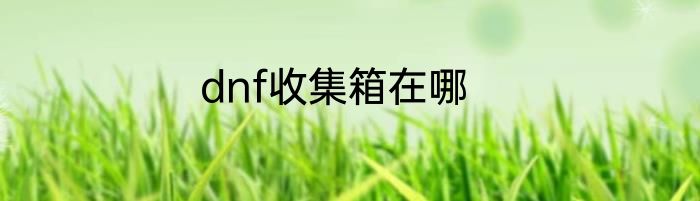 dnf收集箱在哪