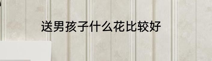送男孩子什么花比较好