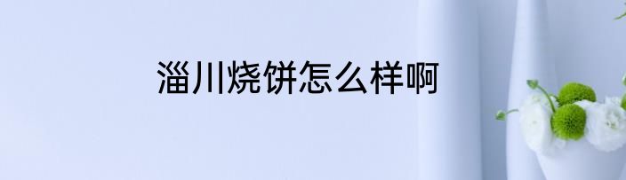 淄川烧饼怎么样啊
