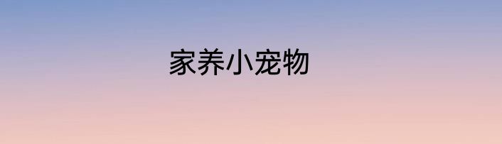 家养小宠物