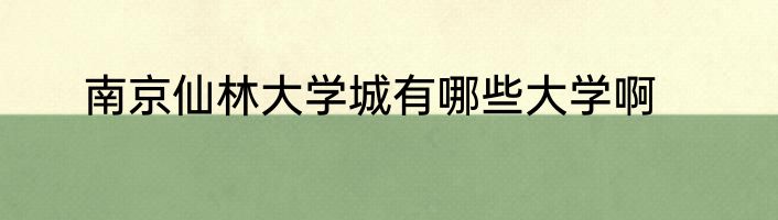 南京仙林大学城有哪些大学啊