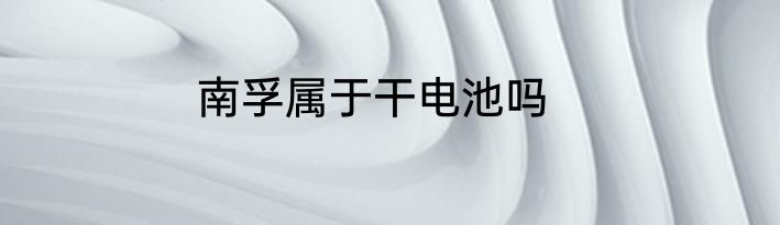 南孚属于干电池吗