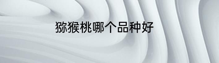 猕猴桃哪个品种好