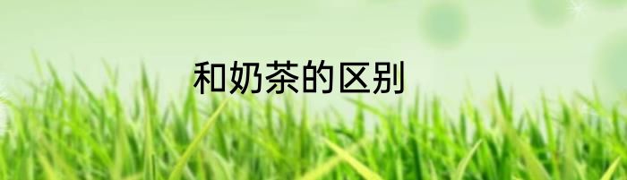 和奶茶的区别