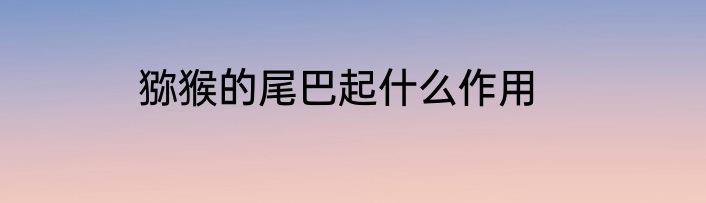 猕猴的尾巴起什么作用