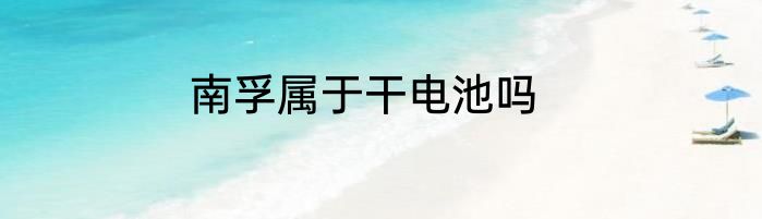 南孚属于干电池吗